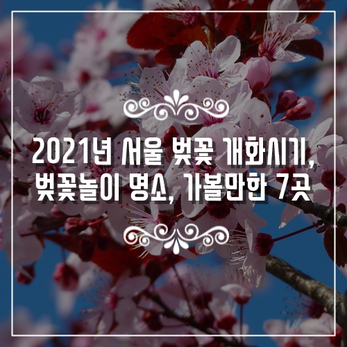  추천 국내여행지, 2021년 서울 벚꽃 개화시기, 벚꽃놀이 명소, 가볼만한곳