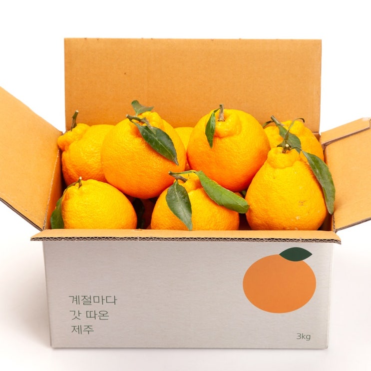 인기있는 깨비농원 고당도 한라봉 2.5kg, 1box, 한라봉 2.5kg 대과 좋아요