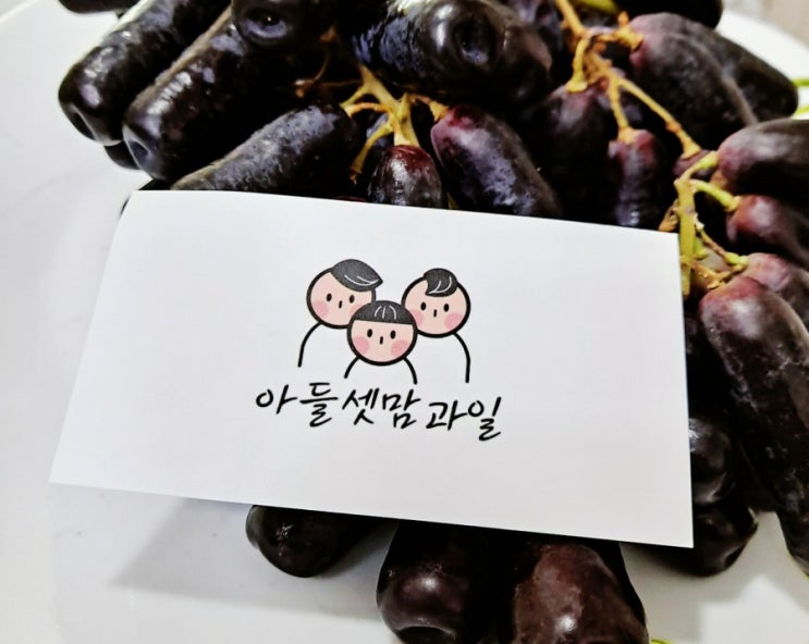  마녀손톱이라 불리는 블랙사파이어 가지포도