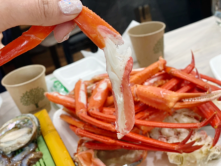  강원도 속초 대포항 맛집 '뱃고동활어' 수산시장 붉은대게 세트