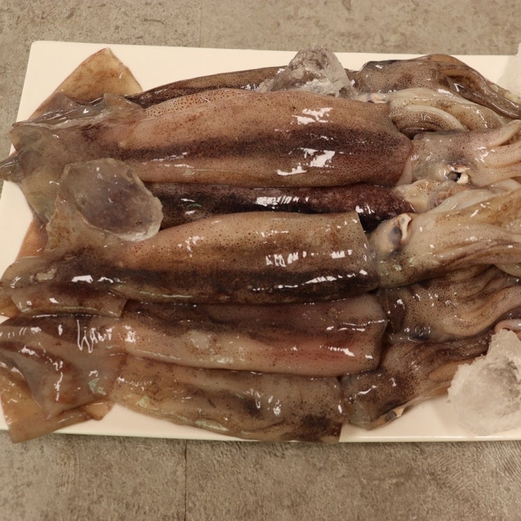 후기가 좋은 포항 오징어 구룡포 내장까지 먹는 오징어 쫄깃 총알오징어 1kg ···