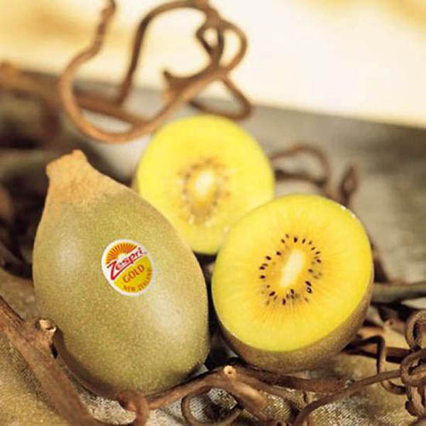 인기있는 제스프리 골드키위 선물세트 20입(2kg /대크기), 1개, 20입(2.0kg 대크기) 추천해요 인기있는 제스프리 골드키위 선물세트 20입(2kg /대크기), 1개, 20입(2.0kg 대크기) 추천해요