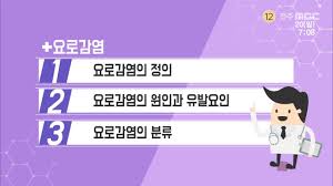 간호케이스 요로감염UTI 원인종류 진단검사 세균뇨 방광요관신우신염 간호케이스 요로감염UTI 원인종류 진단검사 세균뇨 방광요관신우신염