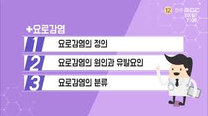 간호케이스 요로감염UTI 원인종류 진단검사 세균뇨 방광요관신우신염