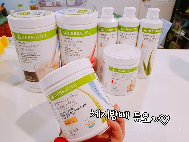  허벌라이프 프롤레사 듀오 먹는법! 체지방 10kg빼기성공