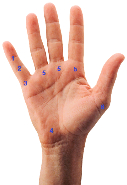 손가락 통증 저림 부위별 의심질환 - 퇴행성, 류마티스, 가성통풍, 손목터널증후군, 방아쇠수지(탄발지)