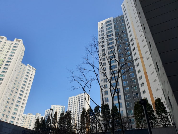  일본 부동산 시장 버블과 폭락, 현재 우리나라와 다른 점은?