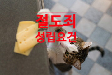 점유이탈물횡령죄 vs 절도죄 성립요건 점유이탈물횡령죄 vs 절도죄 성립요건