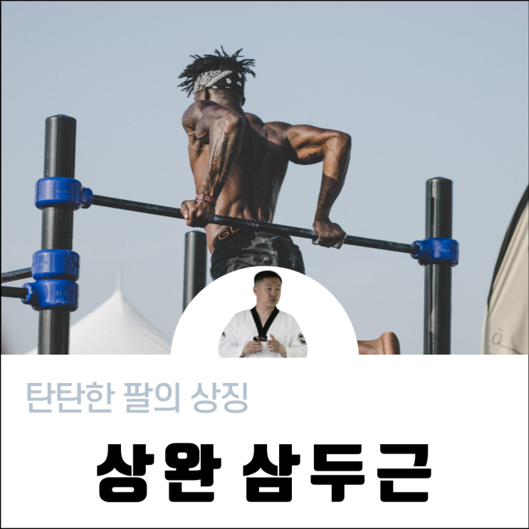  삼두근 삼두 운동에 대해 알려드릴게요