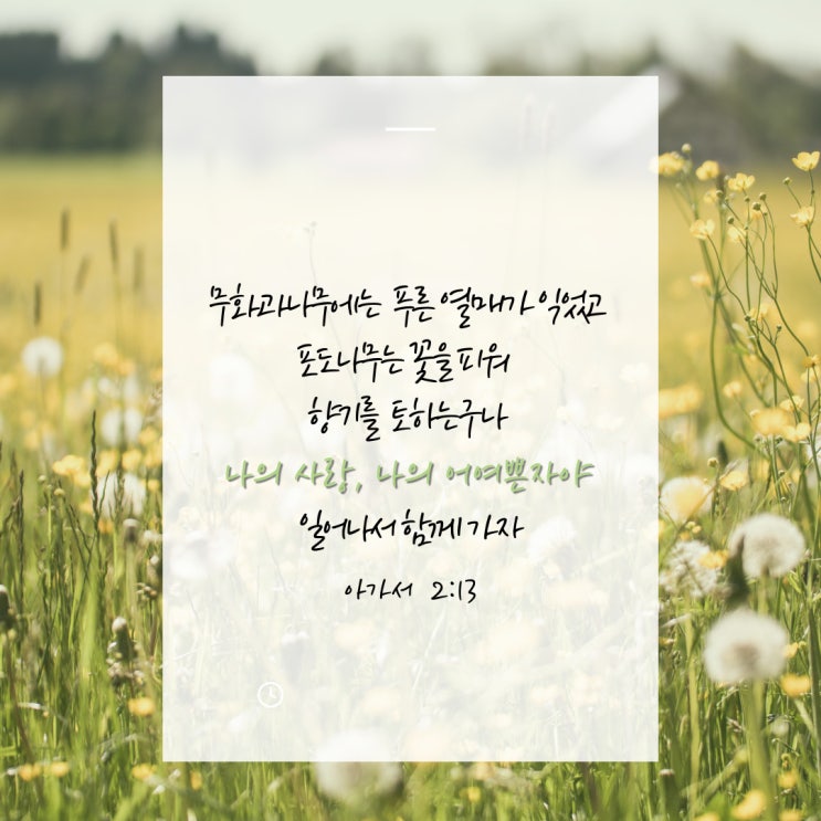 킹덤 아신전 몇부작 생사초의 비밀 밝혀지나 전지현 박병은 ...