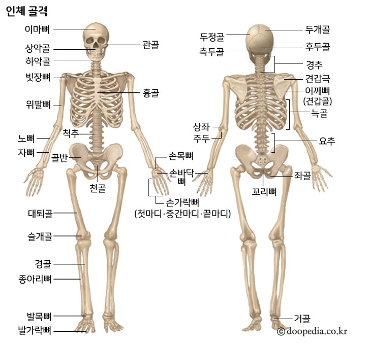  경추 주사 맞아보셨어요?