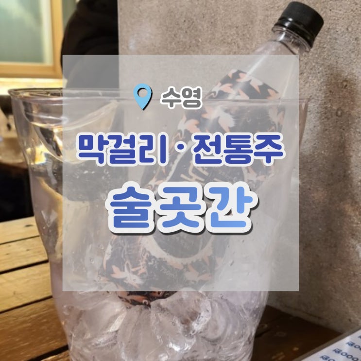 동래아들막걸리 대대포막걸리 맛있게 먹고온 수영 술곳간