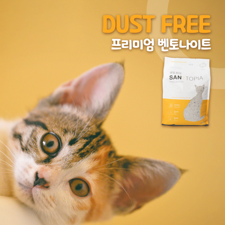  [자주묻는질문]샌토피아에서 형광물질 같은 게 보여요!