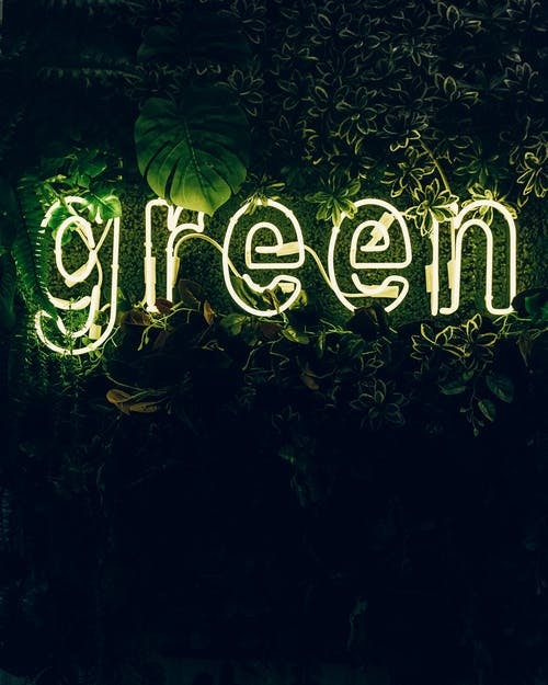인내심의 컬러 Green_ 초록색 색채심리 및 상징과 연상 이미지