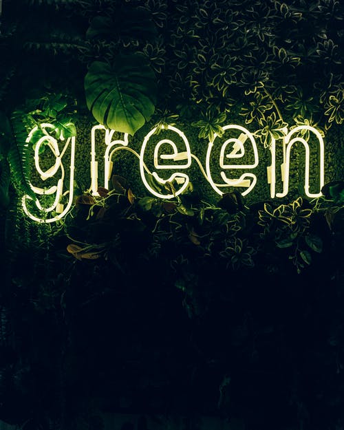 인내심의 컬러 Green_ 초록색 색채심리 및 상징과 연상 이미지 인내심의 컬러 Green_ 초록색 색채심리 및 상징과 연상 이미지