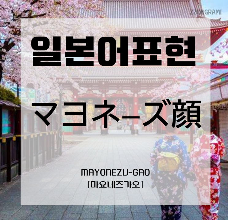 [일본어 공부] 일본어 표현 : 조미료로 구분한 얼굴(顔) 표현④ 「マヨネーズ顔」