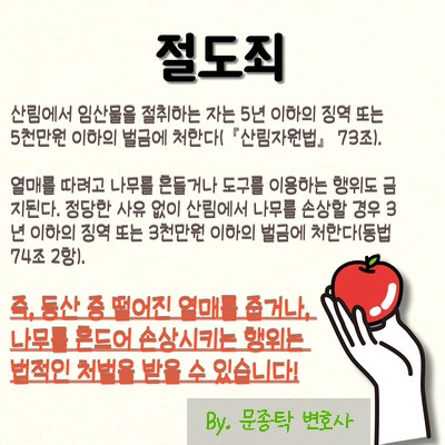 점유이탈물횡령죄 vs 절도죄 처벌이 더 중한 것은