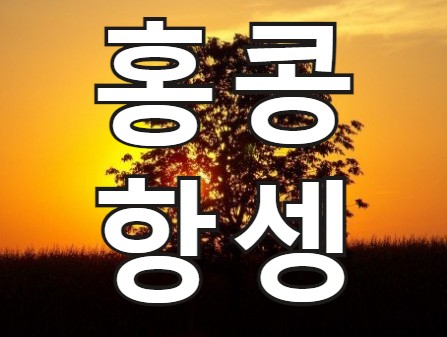  해외선물 홍콩 항셍 수익내기