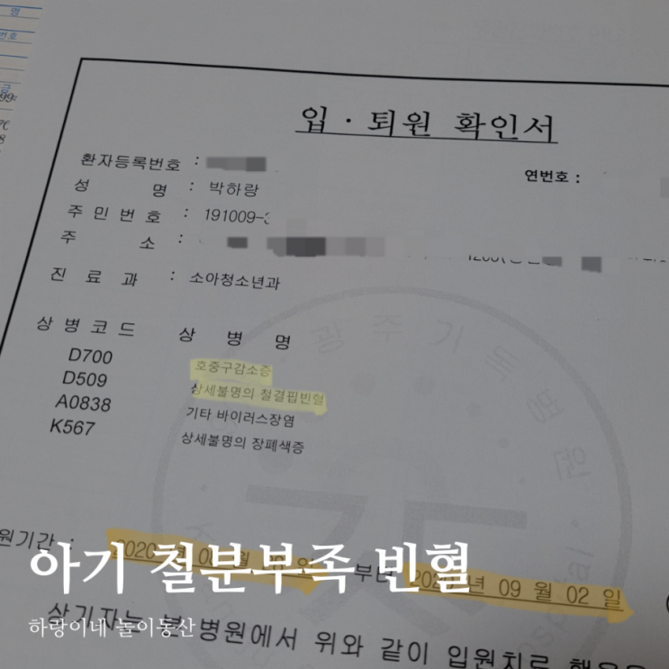  철분부족 아기 빈혈검사 후 건강관리방법