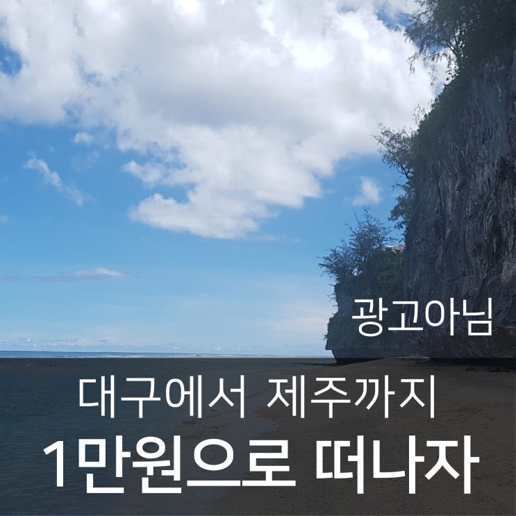  대구제주항공권 제주항공 편도 1만원대로 대구에서 제주까지 대구-제주