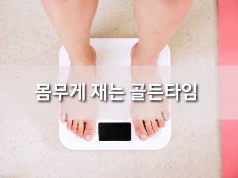  몸무게 재는 시간 정확하게 정해드립니다