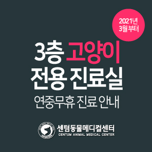  2021년 3월 이후 3층 고양이 전용 진료실 연중무휴 진료 안내 (부산 수영 센텀동물메디컬센터)