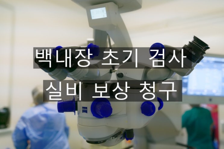  백내장 초기 증상 검사 받고 실비 보상 받으세요