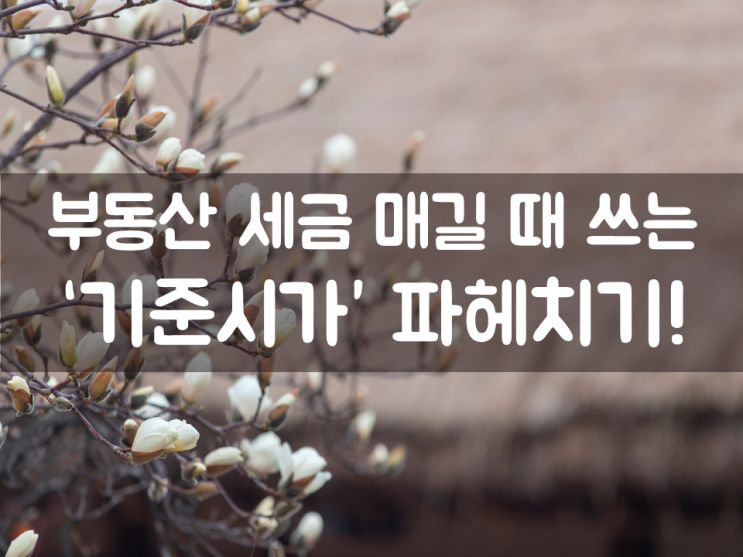  부동산 세금 매길 때 쓰는 ‘기준시가’ 파헤치기!