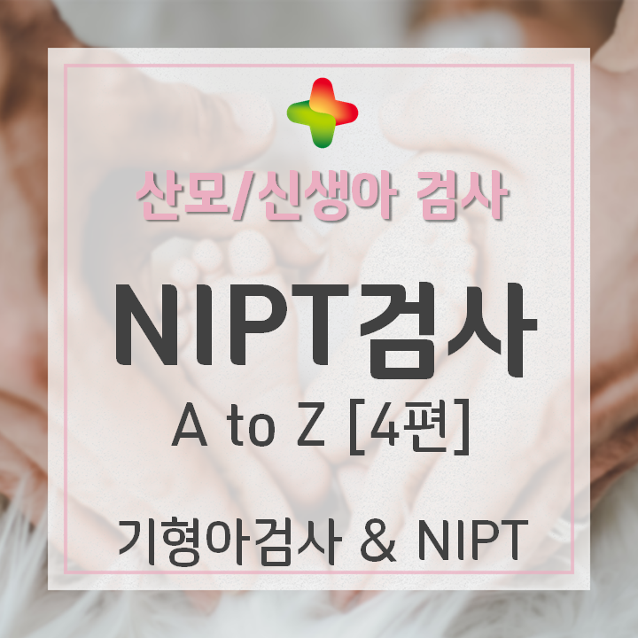 NIPT 검사(니프트검사) 4편: "1차 기형아 검사 정상인데, NIPT 해야 할까요?"