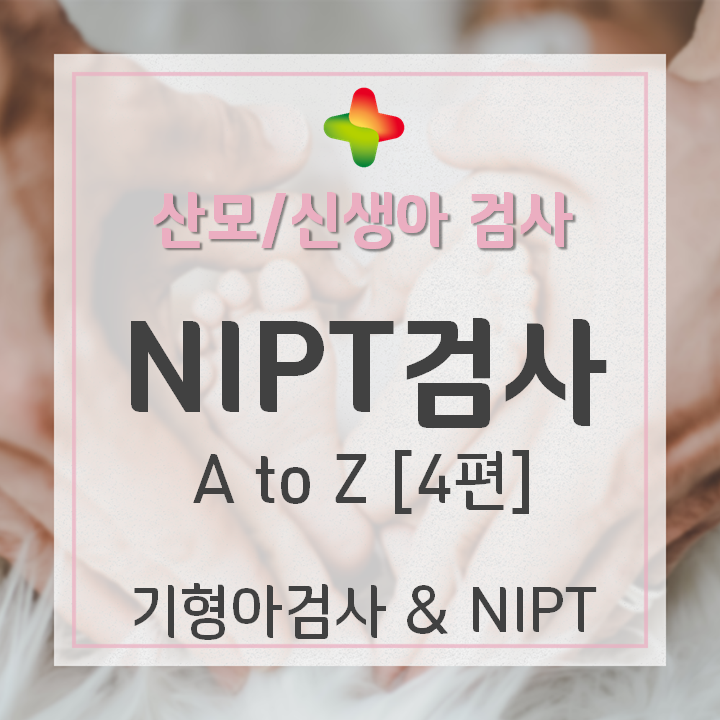  NIPT 검사(니프트검사) 4편: "1차 기형아 검사 정상인데, NIPT 해야 할까요?"