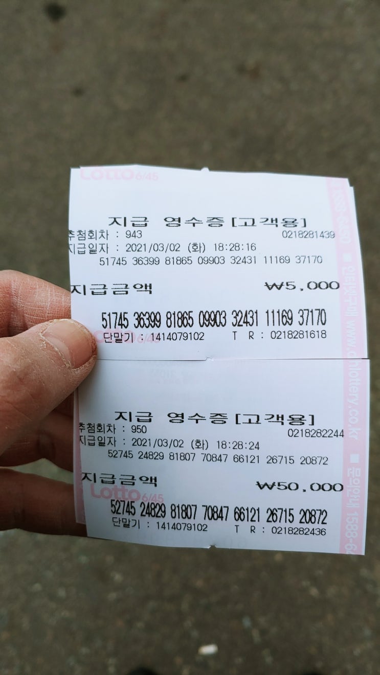  로또 4등,5등 당첨금 바꿔서 족발보쌈 사먹기.