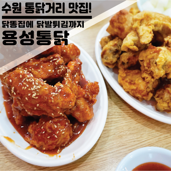 수원 통닭거리 3대 원조 맛집 "용성통닭 본점" 양념반 후라이반+닭똥집, 닭발튀김