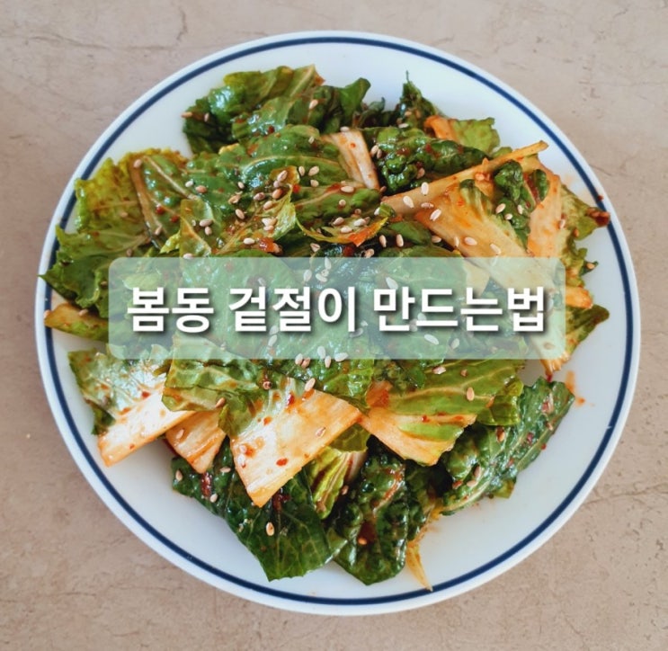  봄동 겉절이 봄에 먹는 제철음식10분으로 간단히 만드는 법(백종원 레시피)