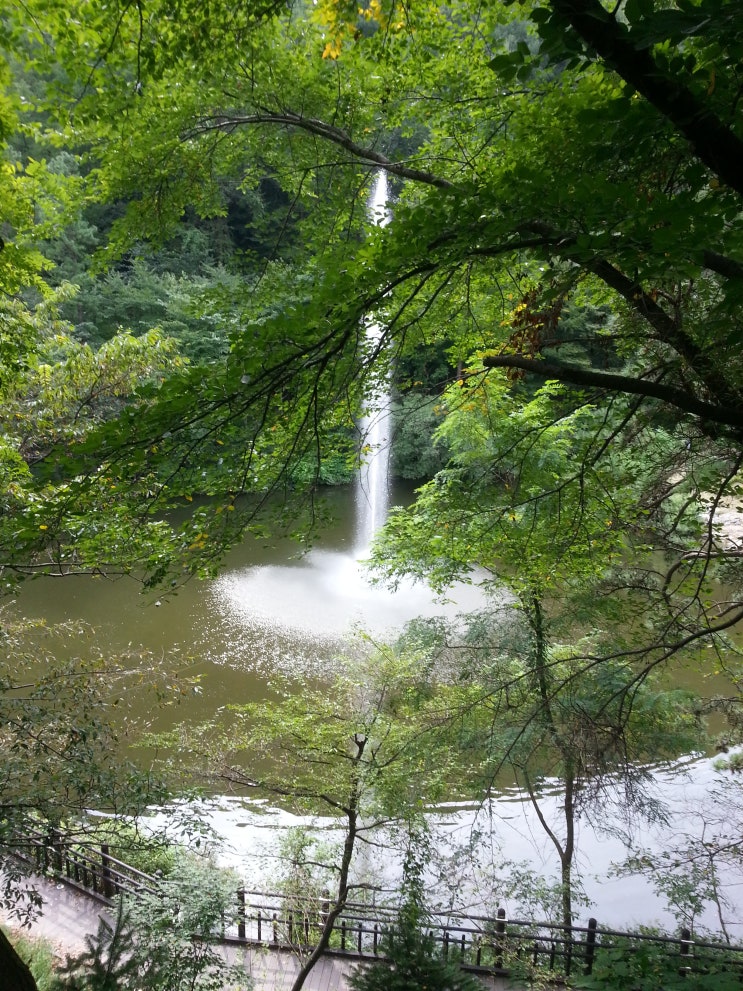 대전광역시 여행 (만인산 자연휴양림과 봉이호떡) 대전광역시 여행 (만인산 자연휴양림과 봉이호떡)