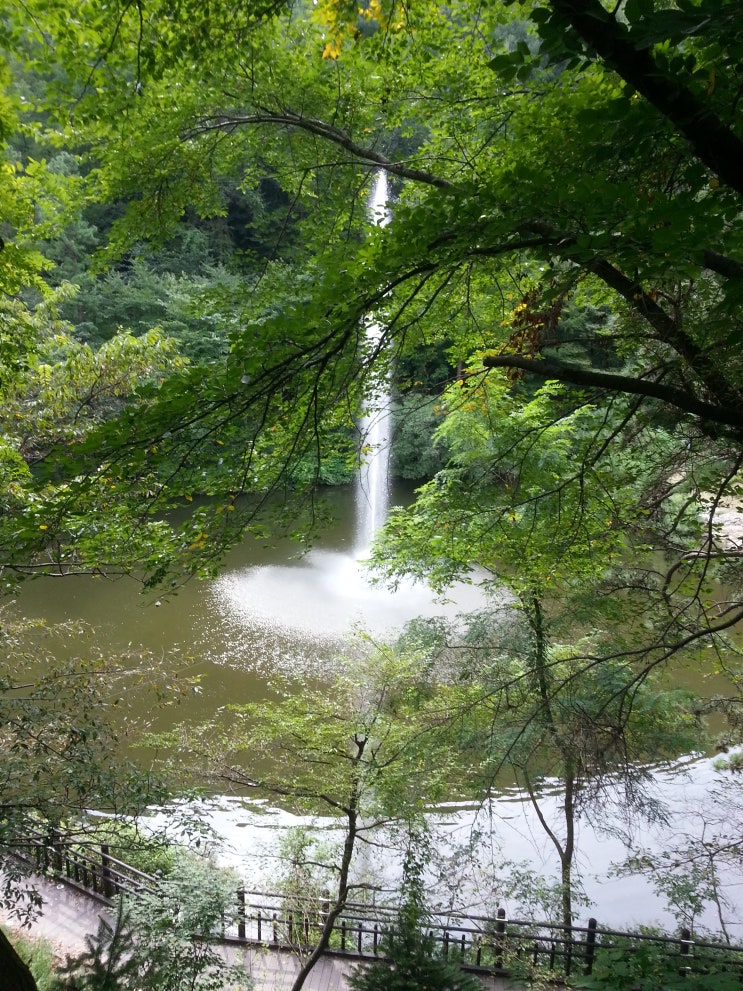 대전광역시 여행  (만인산 자연휴양림과 봉이호떡)