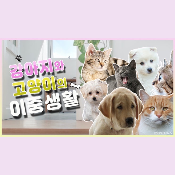  [빡공단 8기] 포토샵 클래스 21일 차
