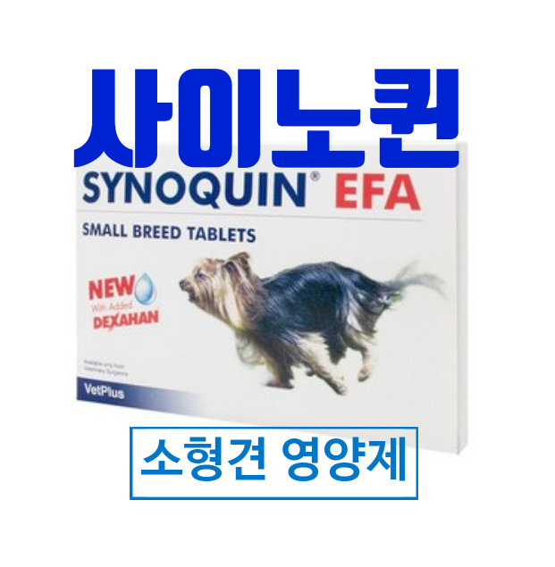  사이노퀸 소형견 관절 영양제로 강아지 삶의 질 높일 수 있다?(진지)