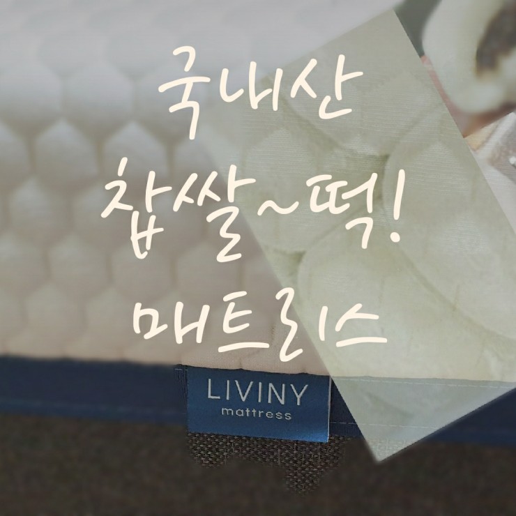  찹쌀떡 매트리스, 국내생산이라 더 믿음이 가요.