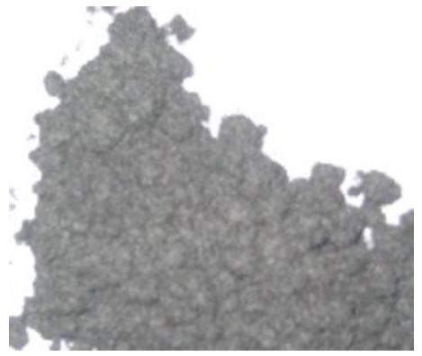 [Bondingchemical]Activated carbon fiber Powder(Rayon based, 100-120 mesh) (070584)