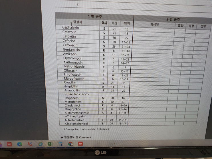  강아지 귀염증 감수성검사 결과 옳바른 귀청소 방법