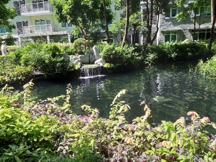  필리핀마닐라, 휴일 오후 산책길