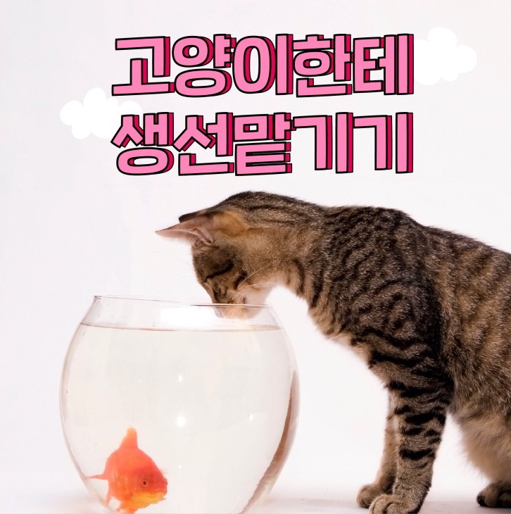  고양이에게 생선 맡겼네, “LH직원” 관리하랬더니 100억대 땅투기, 지분 쪼개기와 가짜농사계획서로 대출까지...
