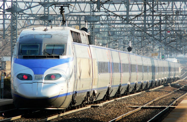 KTX 무개념 진상녀, 열차서 방역수칙 위반한 햄버거 섭취+욕설 논란