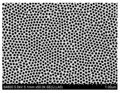 [Bondingchemical]Double-pass AAO template(circle, D=25mm) (237993)