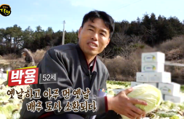 지야와 요가 } DAY 16_백일수련웅녀일기 ~ '나'로써 나의 인생을 살고 있는가 ; 배추도사 박용