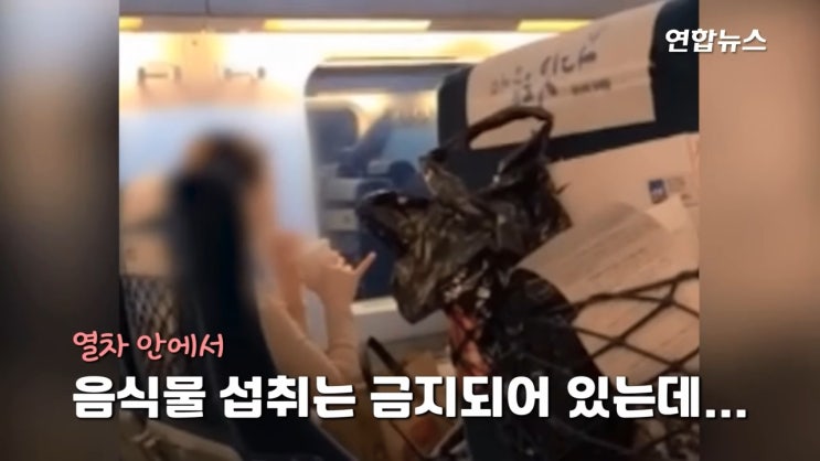 ktx 햄버거녀 아빠 논란 정리 ktx 햄버거녀 아빠 논란 정리