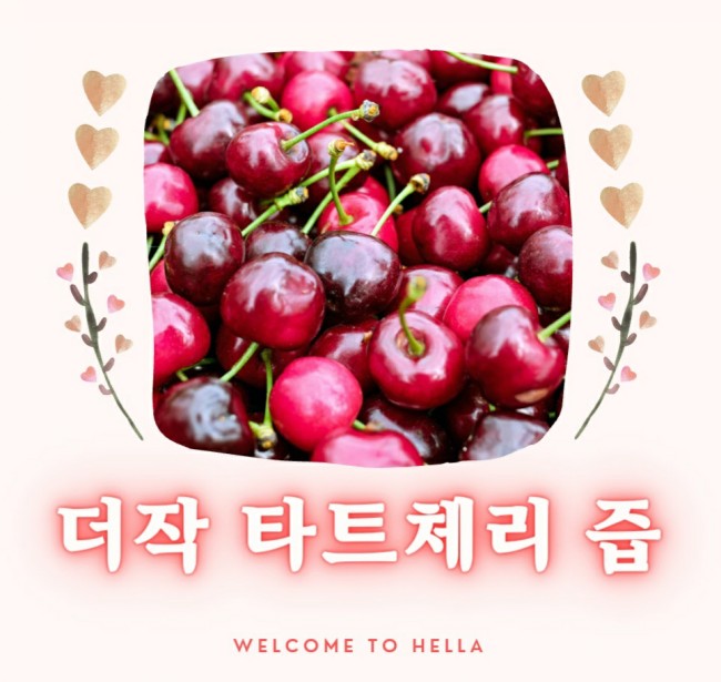  타트체리 효능가루NO!발효즙으로마셔야 효과 GOOD!!