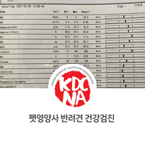  [대전/수원/경기/화성/안양/안성/안산/시흥/펫푸드자격증/펫영양사] 한국반려동물영양협회 최수연펫푸드아카데미 반려견들 건강검진_733