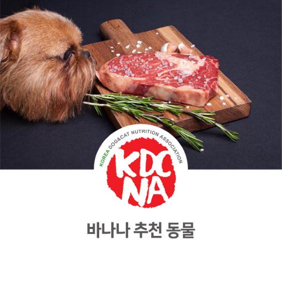  [애견수제간식/창업반/한국반려동물영양협회/펫영양사/강릉/부산/창원/김해/광주/전주/군산/펫푸드] 전주지부 반려밥상이 알려주는 소고기 추천동물_738