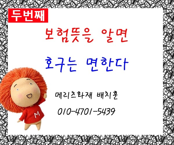  보험뜻 을 알면 호구는 면한다 _ 두번째